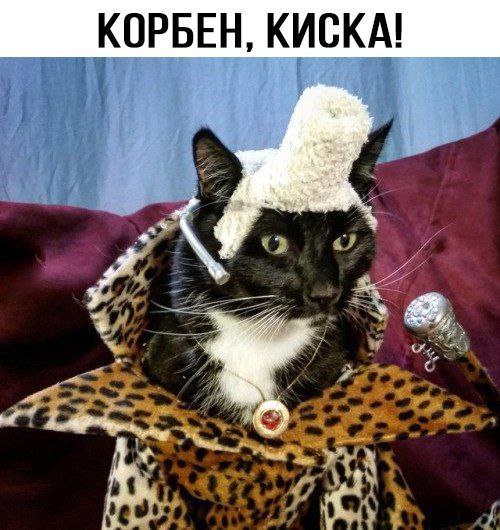 КОРБЕН, КИСКА! 4