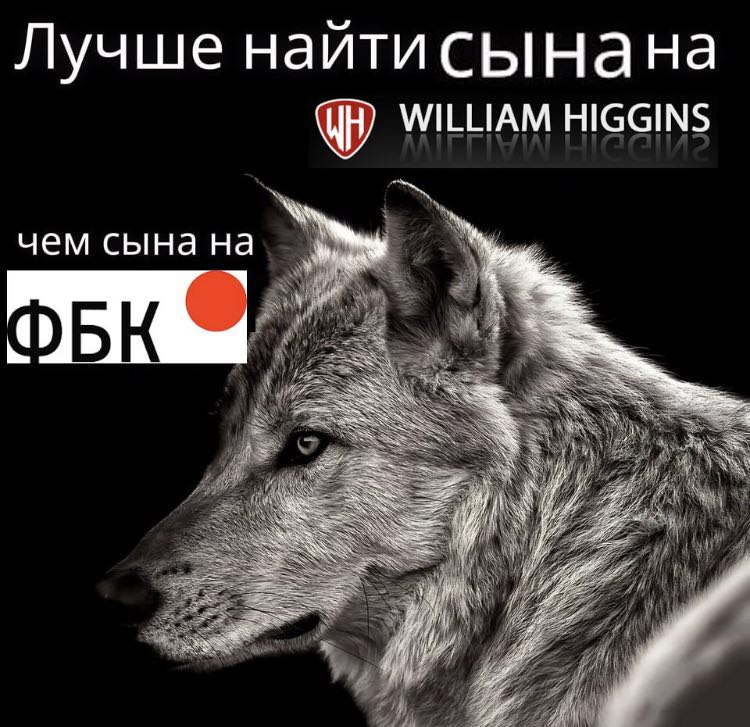 Лучше наитисынана WILLIAM HIGGINS чем сына на