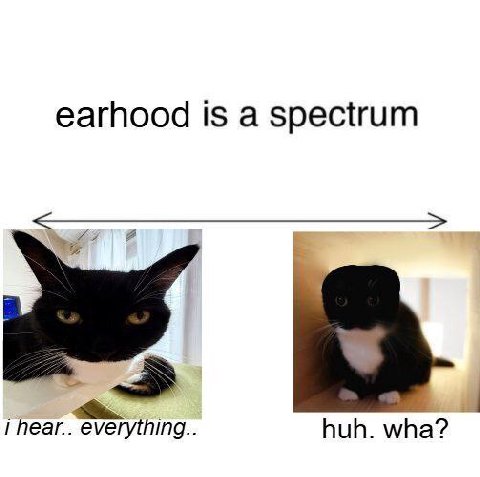 earhood is a spectrum hear.. everything.. huh. wha?