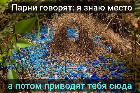 DAT: я знаю место Парни говорят: лесто 5 4 А а потом-приводят тебя сюда