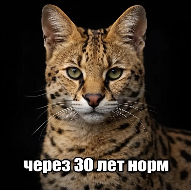 через 30 летнорм