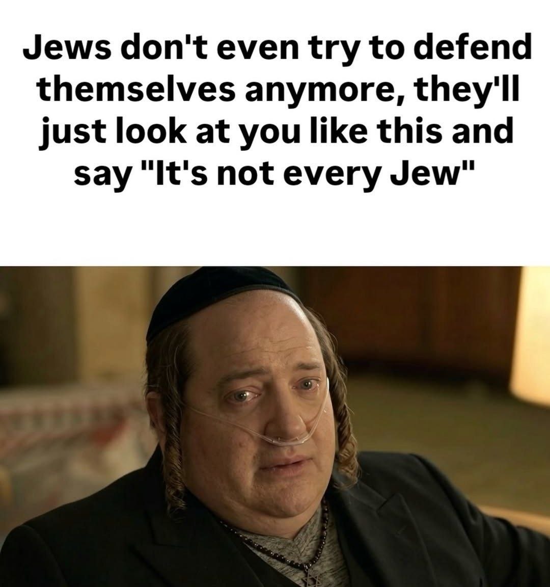 Jews don't even try to defend themselves anymore, they'll just look at you like this and say "It's not every Jew"