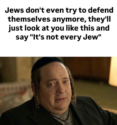 Jews don't even try to defend themselves anymore, they'll just look at you like this and say "It's not every Jew"