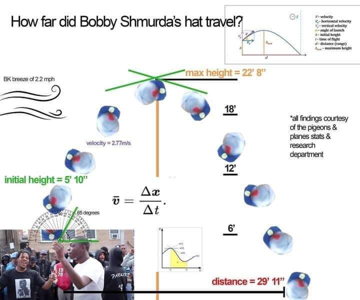 velocity vertical How far did Bobby Shmurda’s hat oof Might max height 2 О breeze of 22 mph findings courtesy of the pigeons planes stats velocity 2.77nvs department 12’ initial height 5’ 10” degrees 