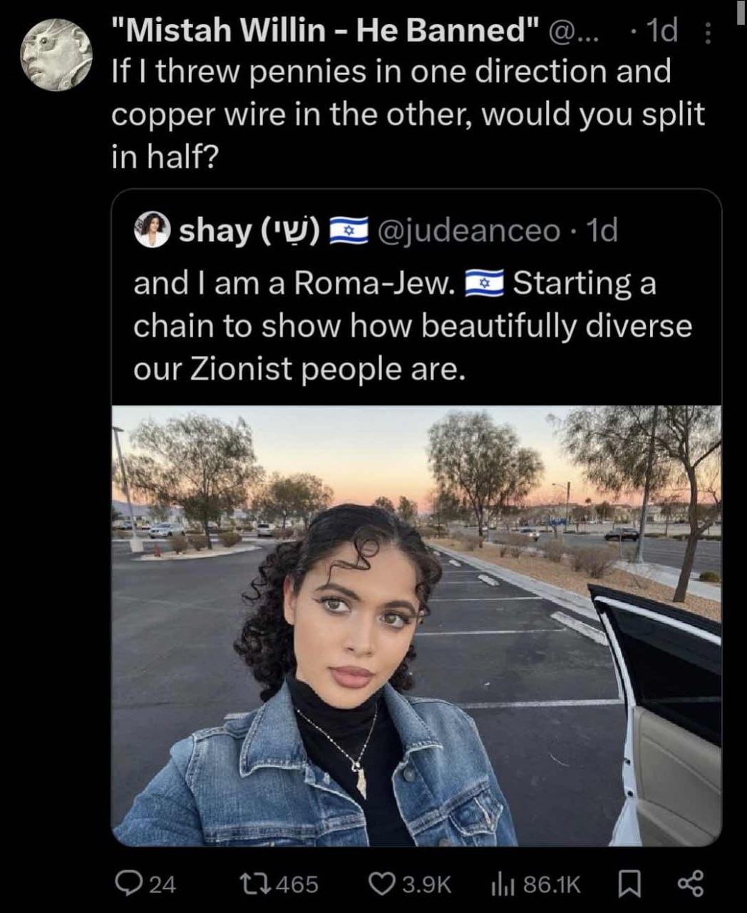 "Mistah Willin Не Banned" If threw pennies in one direction and copper wire in the other, would you split in half? shay @udeanceo 14 and а Roma-Jew. Starting a chain to show how beautifully diverse ou