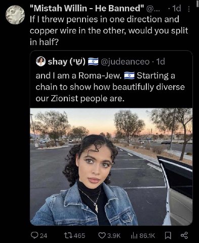 "Mistah Willin Не Banned" If threw pennies in one direction and copper wire in the other, would you split in half? shay @udeanceo 14 and а Roma-Jew. Starting a chain to show how beautifully diverse ou