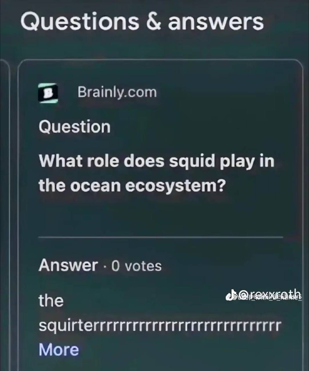 Questions answers Brainly.com Question What role does squid play in the ocean ecosystem? Answer 0 votes the More