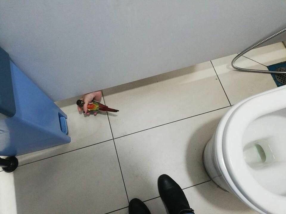 a