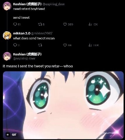 Koshian need retard boyfriend send tweet mikkan 2.0 2” what does send tweet mean у Koshian it means sent the tweet you retar— whoa и GIF