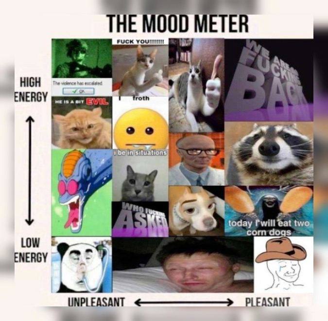 THE MOOD METER FUCK HIGH ENERGY 5 Fwill LOW ENERGY 5$ UNPLEASANT