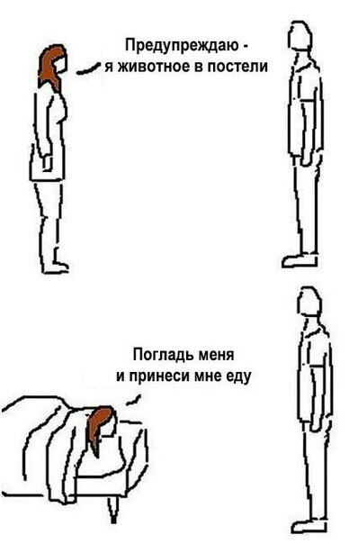 Предупреждаю Я ЖИВОТНОЕ В 2 Погладь меня и принеси мне еду