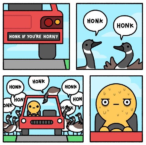HONK IF YOU'RE HORNY