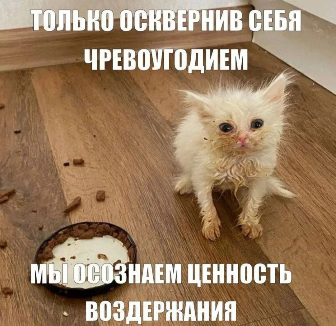 ОСКВЕРНИВ СЕБЯ ЧРЕВОУГОДИЕМ МЫ ЦЕННОСТЬ ВОЗДЕРЖАНИЯ