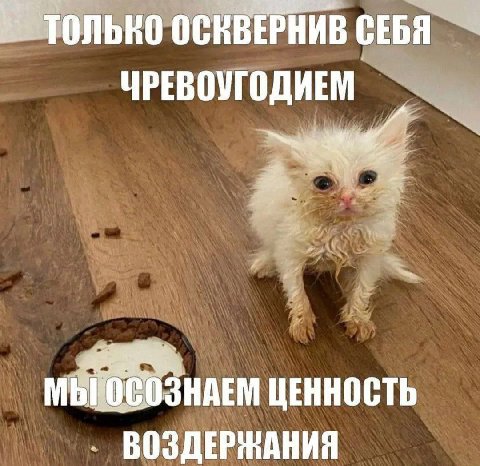 ОСКВЕРНИВ СЕБЯ ЧРЕВОУГОДИЕМ МЫ ЦЕННОСТЬ ВОЗДЕРЖАНИЯ