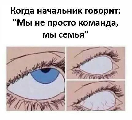 Когда начальник говорит "Мы не просто команда, мы семья"