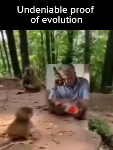 Undeniable proof