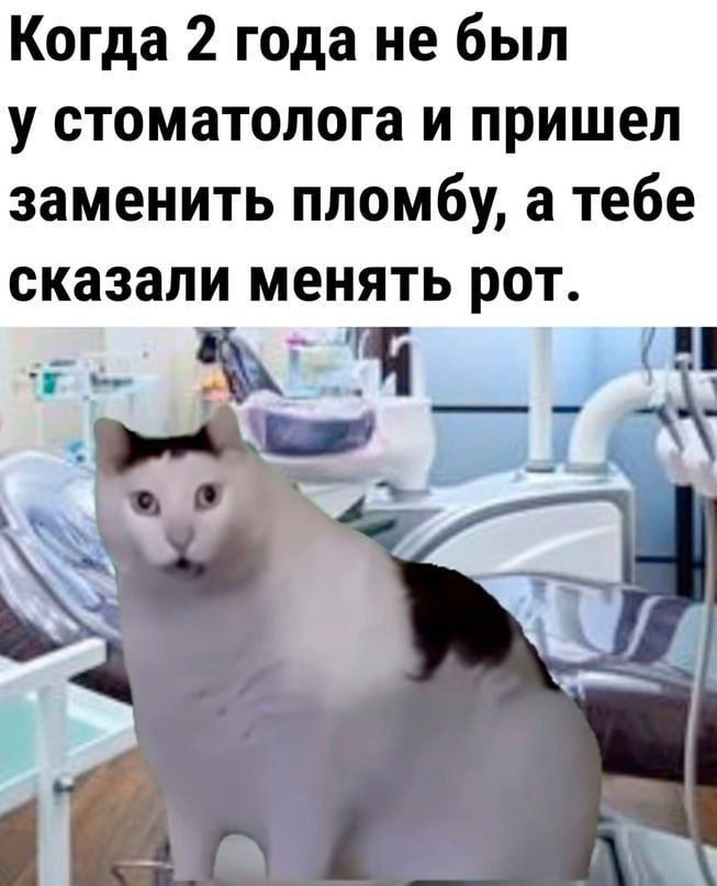 Когда 2 года не был у стоматолога и пришел заменить пломбу, а тебе сказали менять рот.