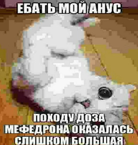 ЕБАТЬ КАЗАЛАСЬ, БОЛЬШАЯ: