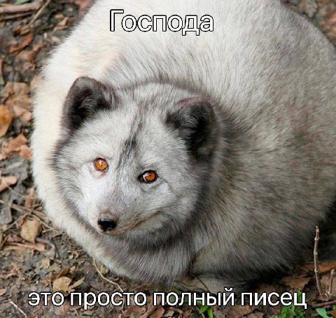 Господа это просто полныи писец