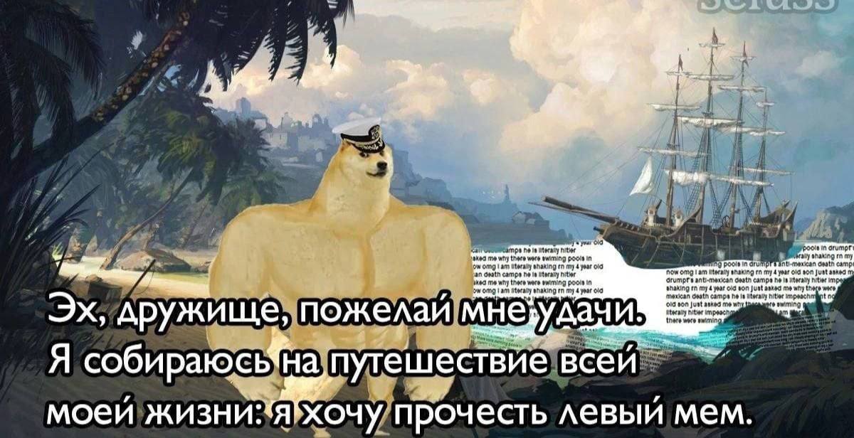 дружище, пожелай мнезудачи Я собираюс На путешествие всей моей хочу прочесть левый мем.
