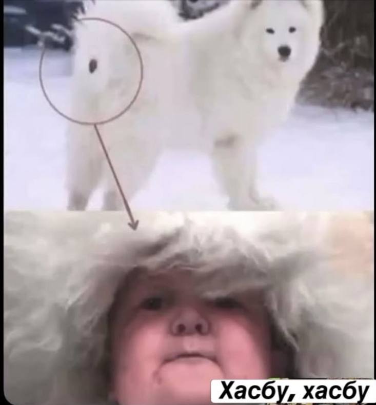 Хасбу, хасбу