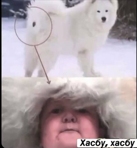 Хасбу, хасбу