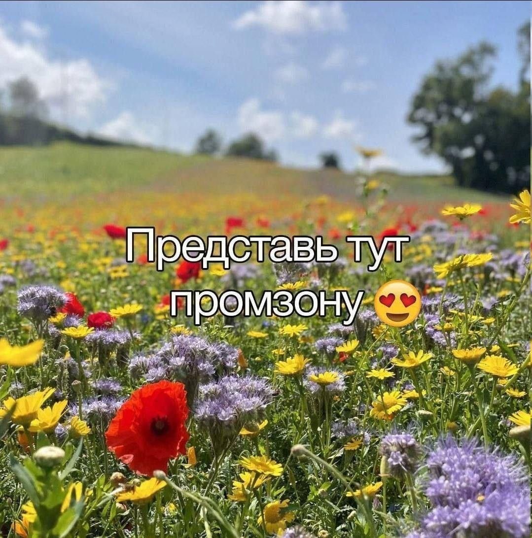 открытка админам верка хз вы нас читаете или нет