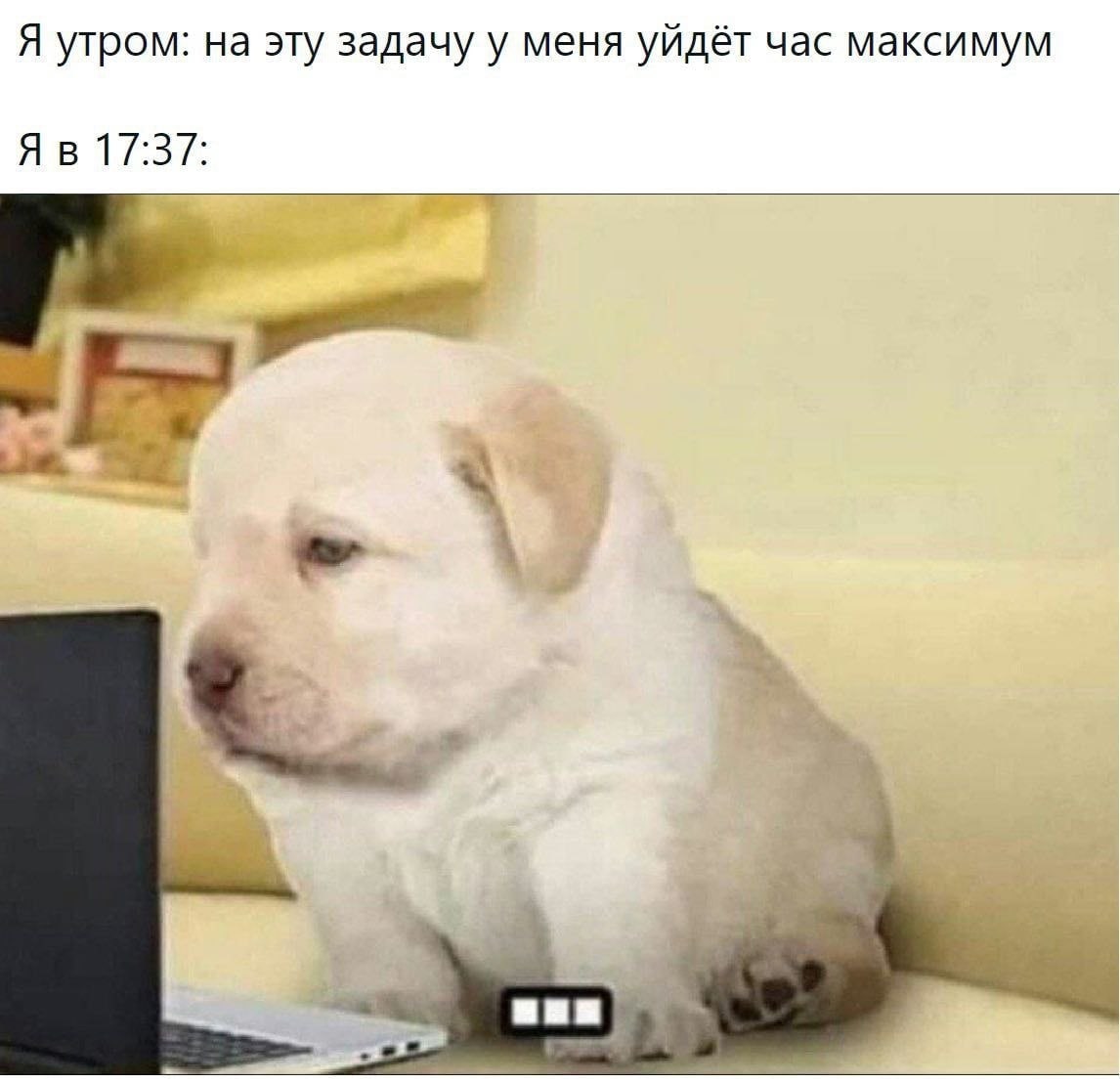 Я утром: на эту задачу у меня уйдёт час максимум 17:37: