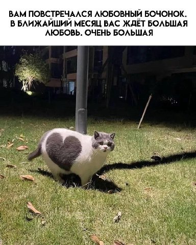 BAM ПОВСТРЕЧАЛСЯ ЛЮБОВНЬИ БОЧОНОК. В БЛИЖАЙШИЙ МЕСЯЦ ВАС ЖДЁТ БОЛЬШАЯ ЛЮБОВЬ. ОЧЕНЬ БОЛЬШАЯ 2 a an