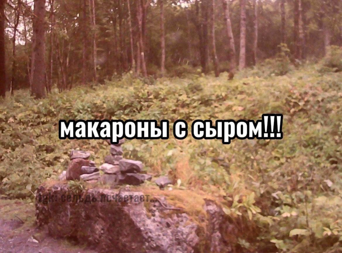 макароны с сыром a
