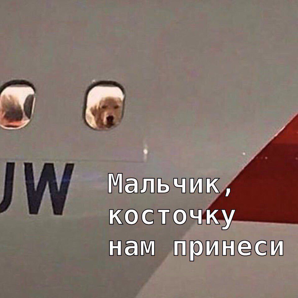 Мальчик, косточку нам принеси