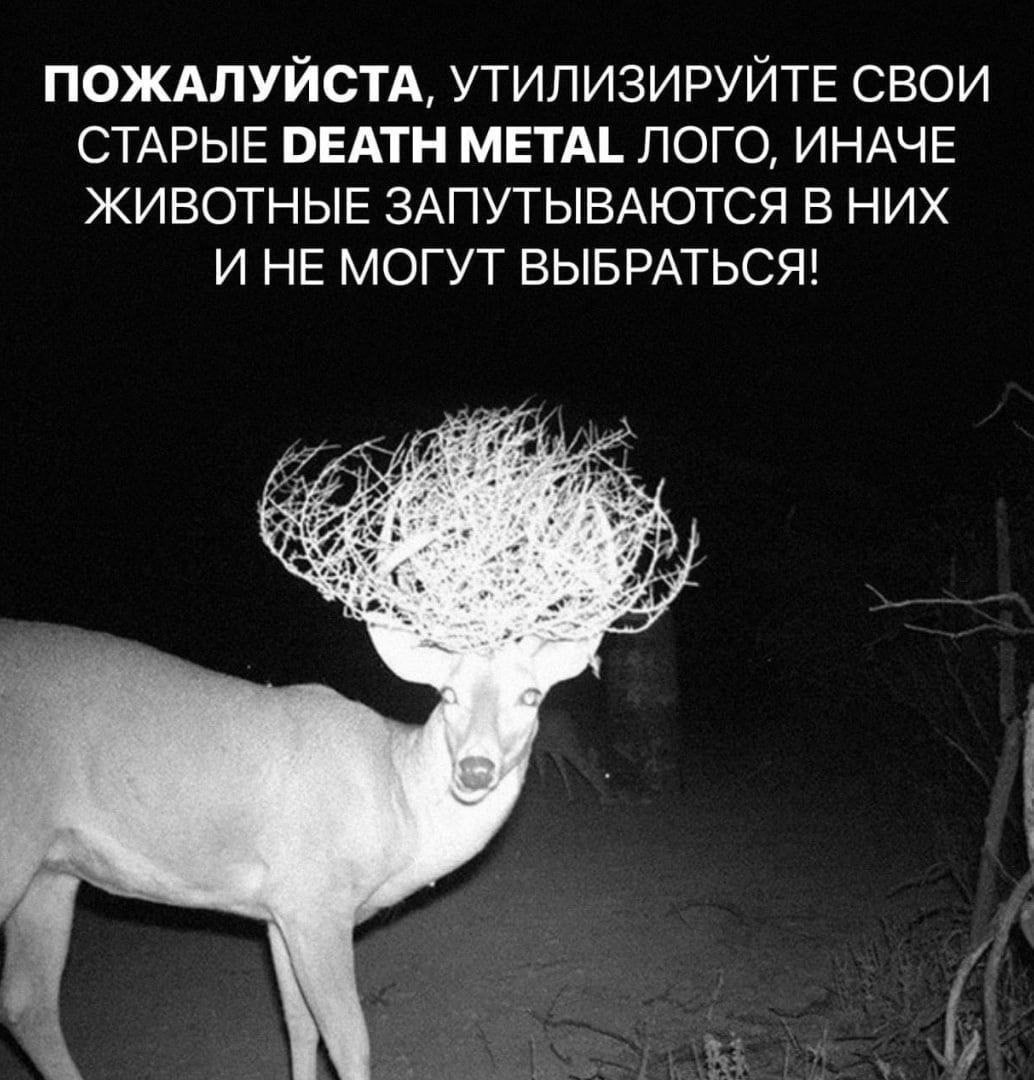 ПОЖАЛУЙСТА, УТИЛИЗИРУЙТЕ СВОИ СТАРЫЕ DEATH METAL ЛОГО, ИНАЧЕ ЖИВОТНЫЕ ЗАПУТЫВАЮТСЯ В НИХ И НЕ МОГУТ ВЫБРАТЬСЯ! у