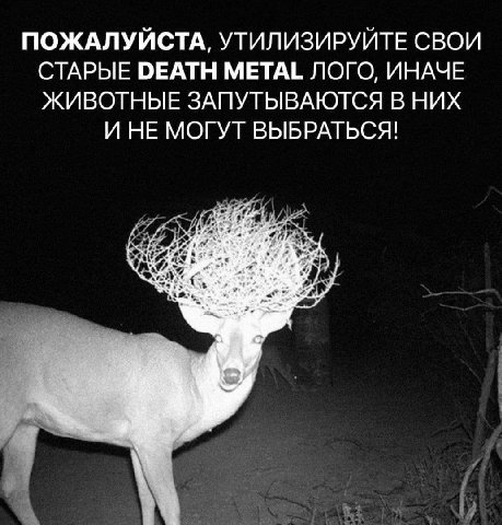 ПОЖАЛУЙСТА, УТИЛИЗИРУЙТЕ СВОИ СТАРЫЕ DEATH METAL ЛОГО, ИНАЧЕ ЖИВОТНЫЕ ЗАПУТЫВАЮТСЯ В НИХ И НЕ МОГУТ ВЫБРАТЬСЯ! у