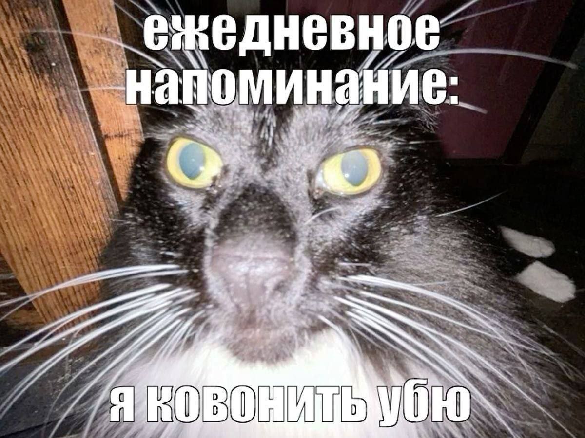 ежедневное: напоминание:
