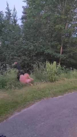 мем