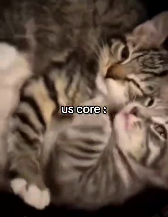 Core