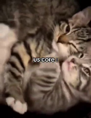 Core