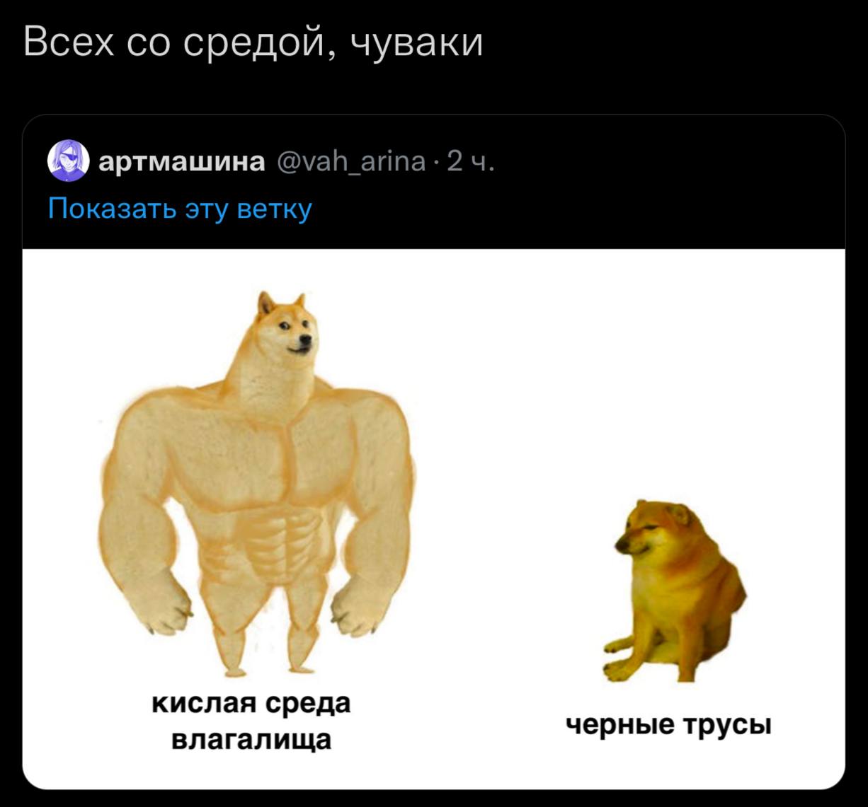 Всех средой, чуваки 65) артмашина @vah_arina:2 4. Показать эту ветку 4 кислая среда влагалища черные трусы