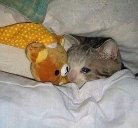 НО
