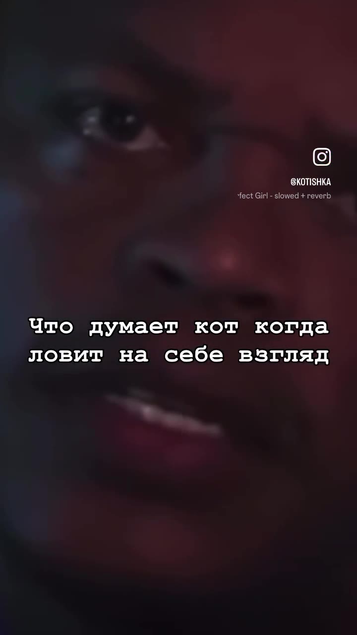 Что думает кот.когда 3+ revegb tazzy, sad songs ловит на себе взгляд songs, Tazzy - The Perfect “fect Girl - slowed + reverb