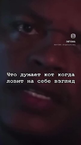 Что думает кот.когда 3+ revegb tazzy, sad songs ловит на себе взгляд songs, Tazzy - The Perfect “fect Girl - slowed + reverb
