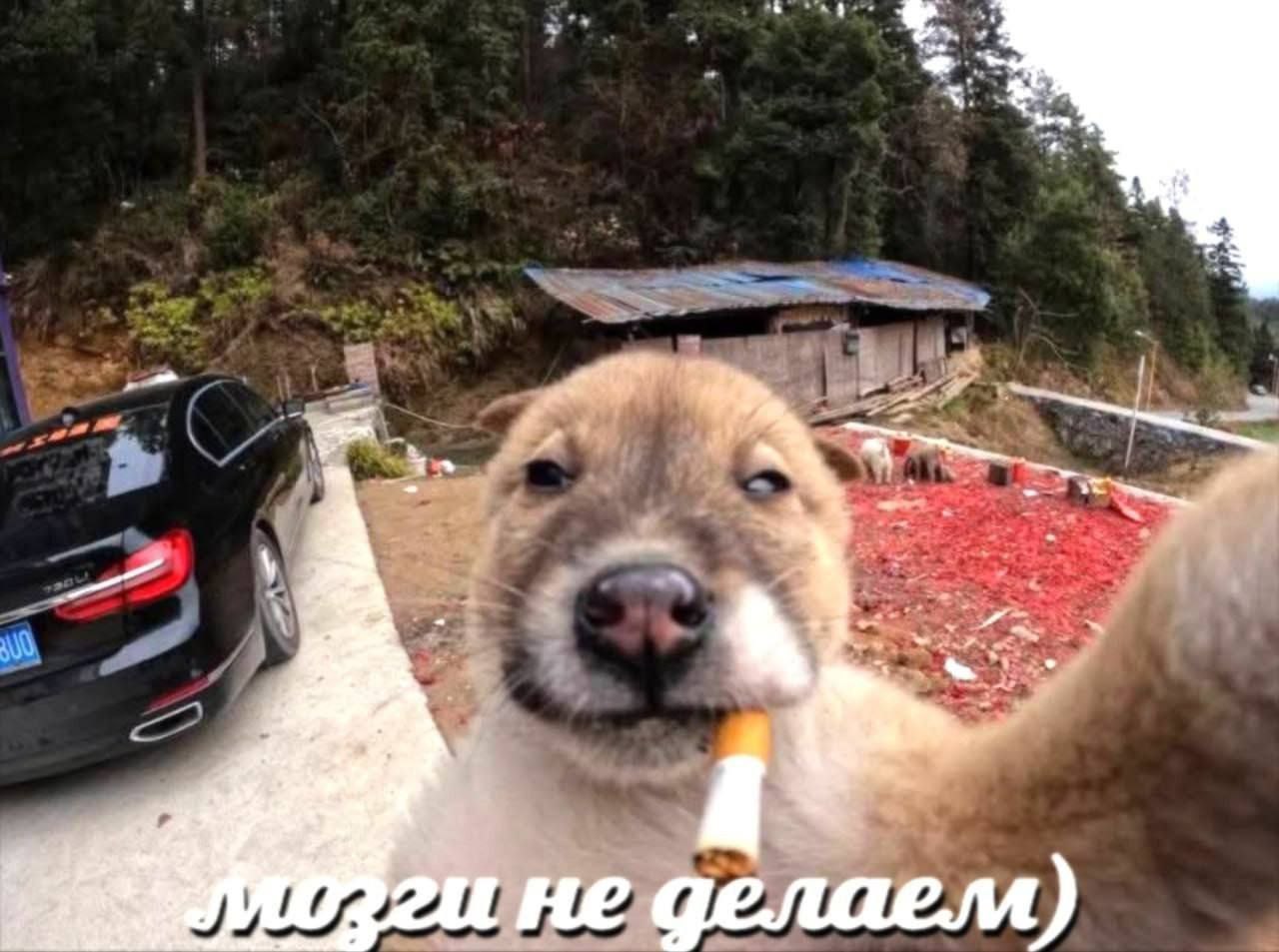 fen не
