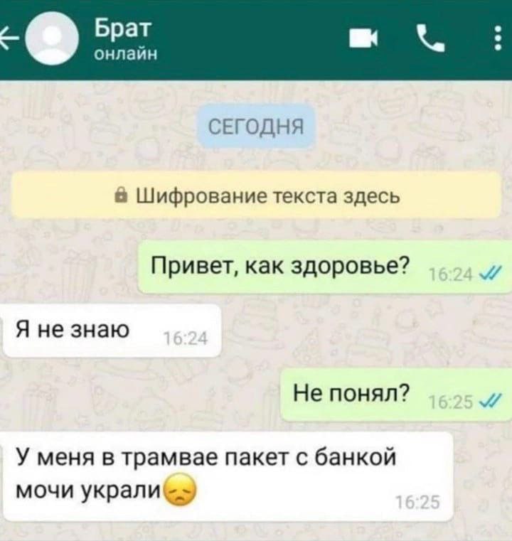 Брат онлайн СЕГОДНЯ Шифрование текста здесь Привет, как здоровье? Я не знаю Не понял? У меня в трамвае пакет с банкой мочи