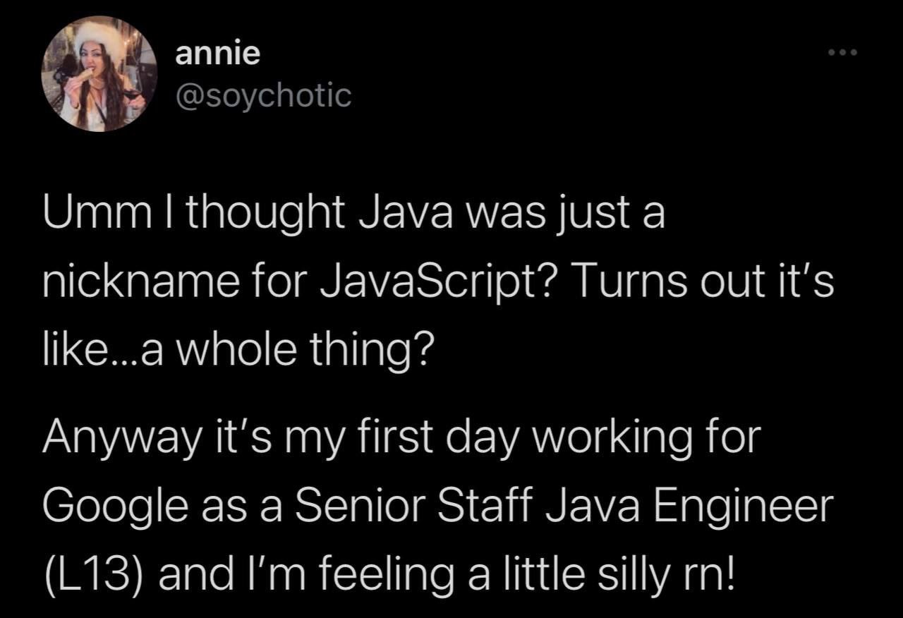 annie Umm thought Java was just a nickname for JavaScript? Turns out it's like...a whole thing? Anyway it's my first day working for Google as a Senior Staff Java Engineer and feeling a little silly