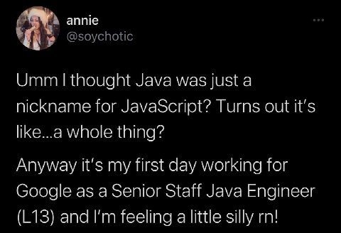annie Umm thought Java was just a nickname for JavaScript? Turns out it's like...a whole thing? Anyway it's my first day working for Google as a Senior Staff Java Engineer and feeling a little silly