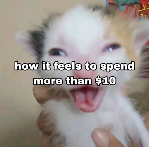 how it feels to ‘spend more than $10