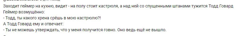Заходит геймер на кухню, видит на полу стоит кастрюля, а над ней спущенными штанами тужится Тодд Говард Геймер возмущённо: Тодд, ты какого хрена срешь в мою кастрюлю?! А Тодд Говард ему и отвечает: Ты