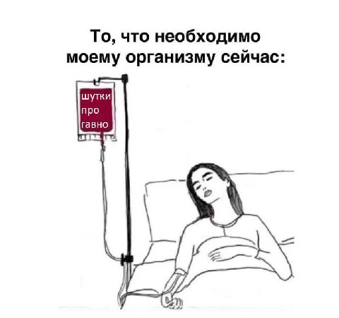 То, что необходимо моему организму сейчас: шутки про гавно