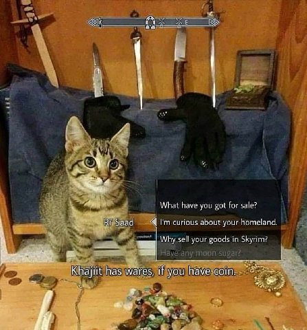 Awe What have you got Гог sale? Saad curious about your homeland Why sell your goods in Skyrim? Khajiit has wares, if you have coin. а