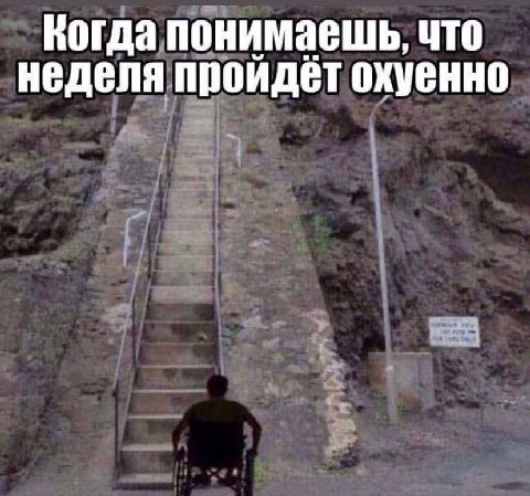 Когда понимаешь, что неделя пройдёт охуенно